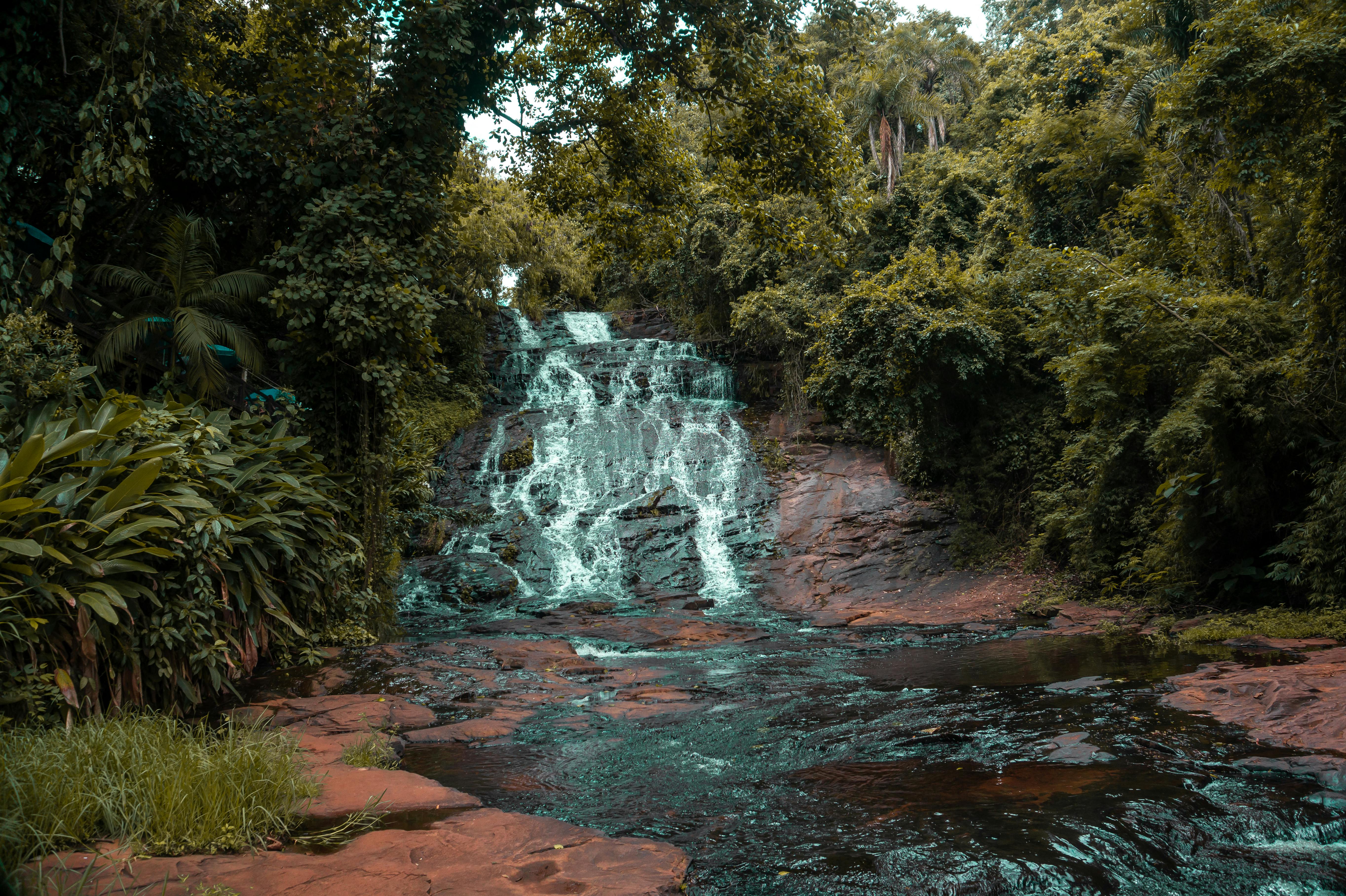 Gabon Rtavel Blueberry Travel – Your Travel Companion