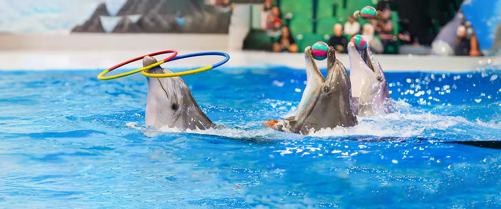 Dubai Dolphinarium